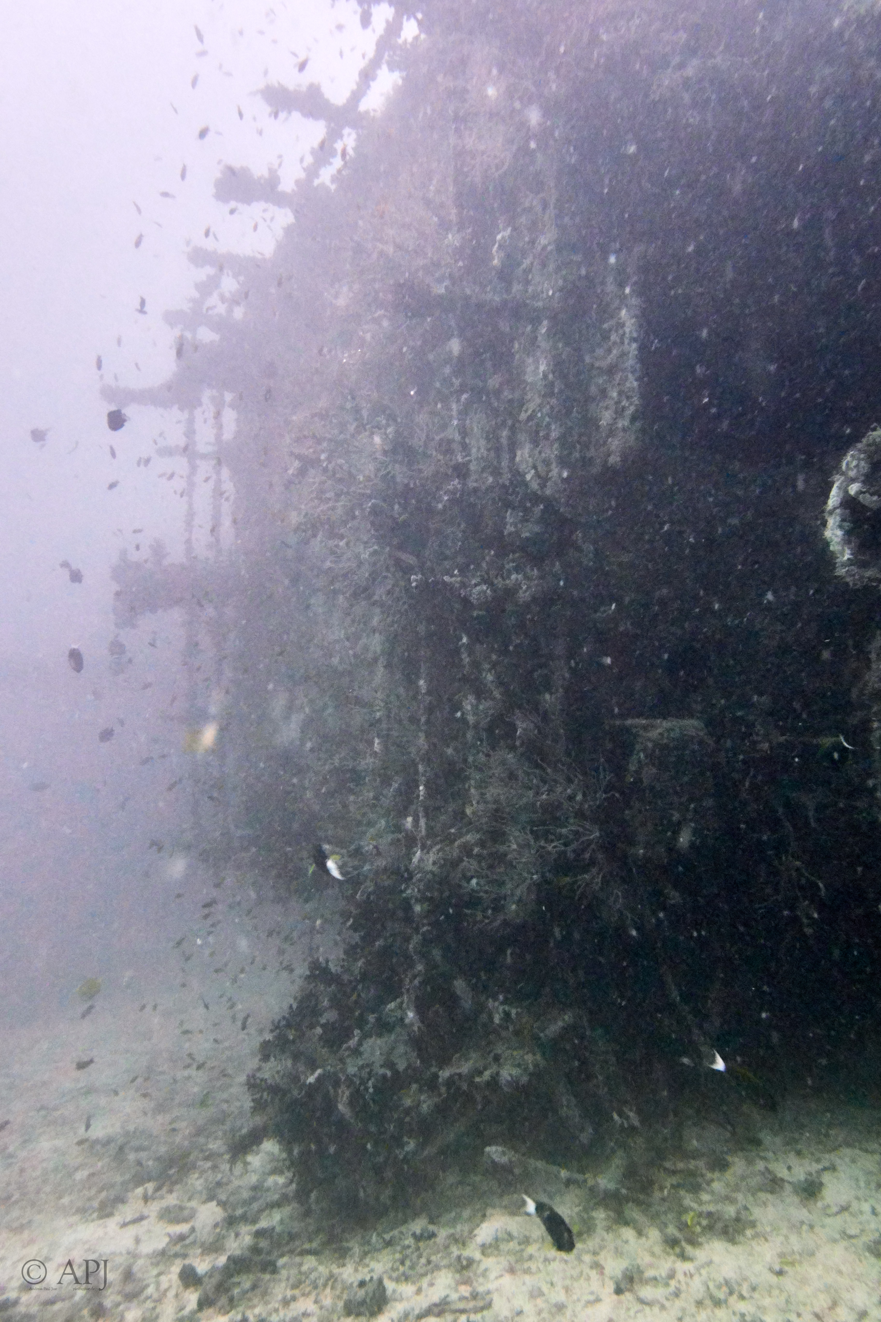 003219 17 08 17  Canon PowerShot G7 X Mark II   Malediven2017